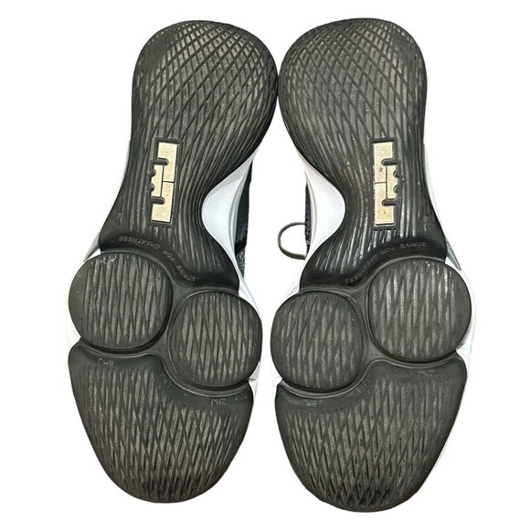 Nike LeBron Witness 4 Shoes Men’s Sz 11.5‎ CV4004-001 Cool Gray - Excellent main image 5